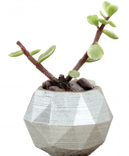 Mini Çiçek Saksı Küçük Sukulent Gümüş Kaktüs Saksısı Mini Poly Silindir Model